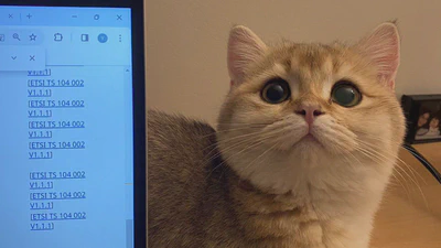 Come and see the super cute Fafa! featured image